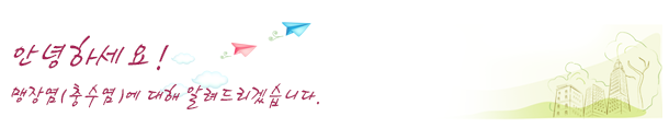 맹장염(충수염)