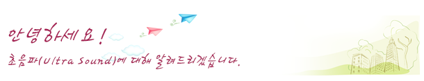 초음파(Ultra Sound)