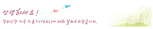 경피신경 자극 치료기(TENS)