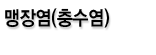 맹장염(충수염)