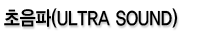 초음파(Ultra Sound)