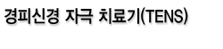 경피신경 자극 치료기(TENS)