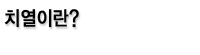 치열이란?
